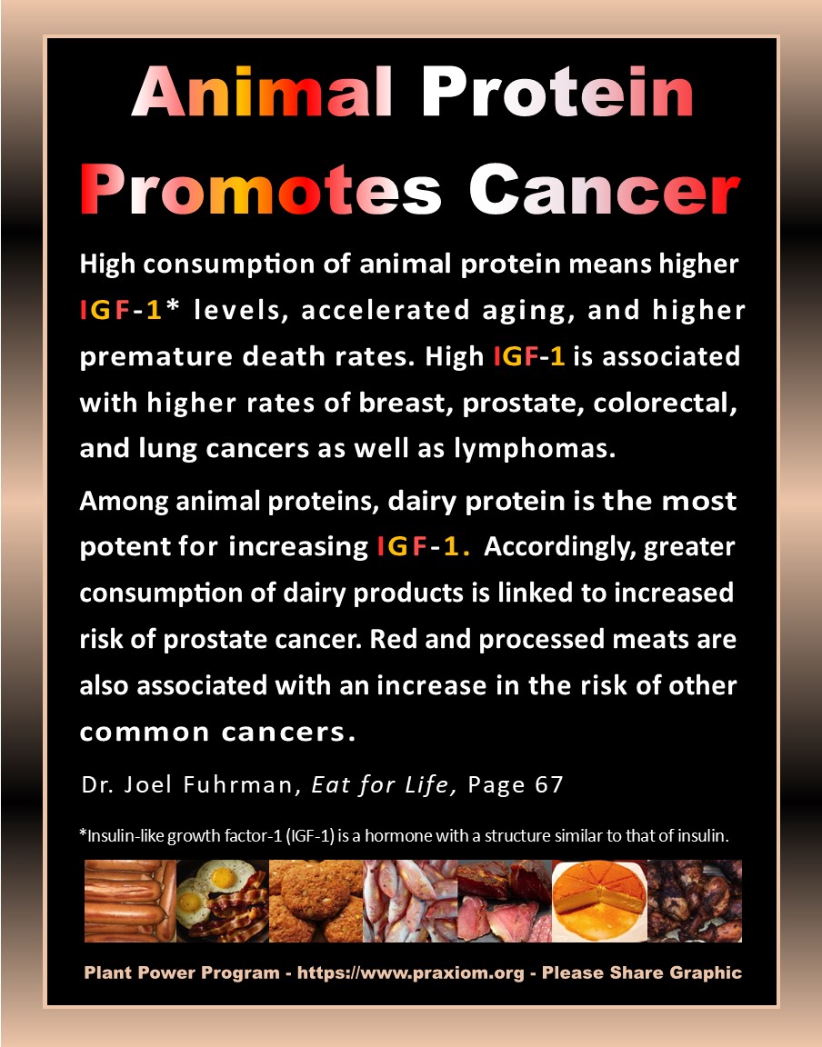 Animal Protein Promotes Cancer - Dr. Joel Fuhrman