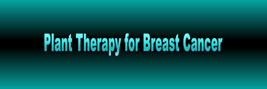 How to Conquer Breast
        Cancer