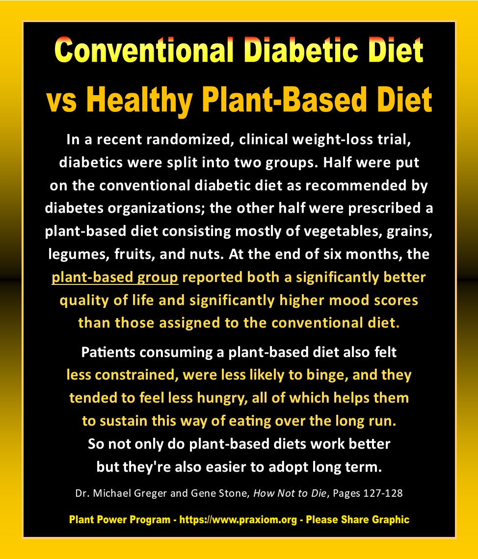 Conventional Diabetic Diet vs Healthy Plant Based Diet - Dr. Michael Greger