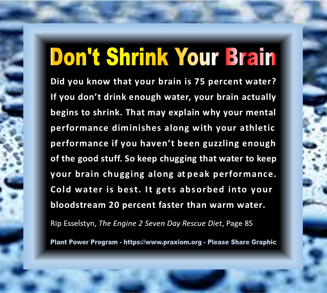 Don't Shri0nk Your Brain - Rip Esselstyn