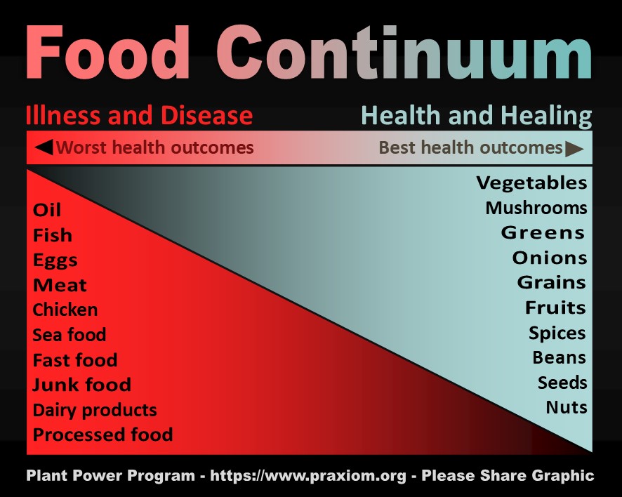 Food Continuum
