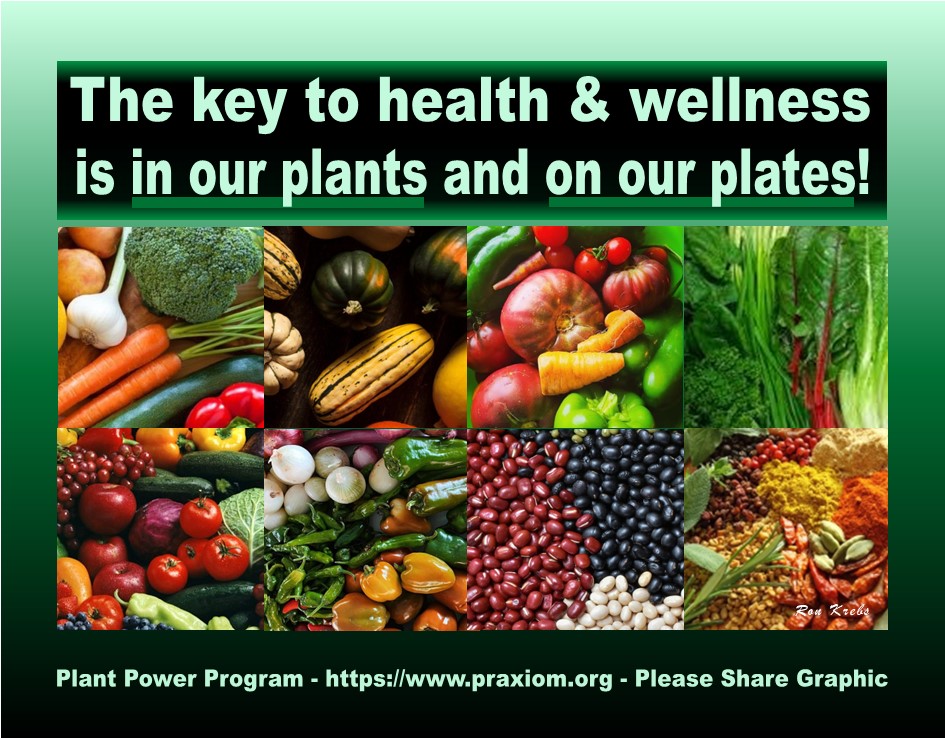 They Key to Health & Wellness