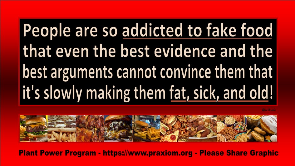 Addiction to Fake Food