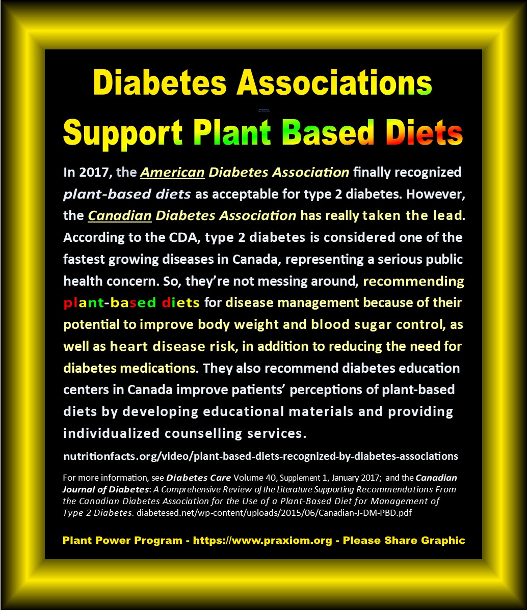 Plant Based Diets Now Recognized by Diabetes Associations - Dr. Michael Greger