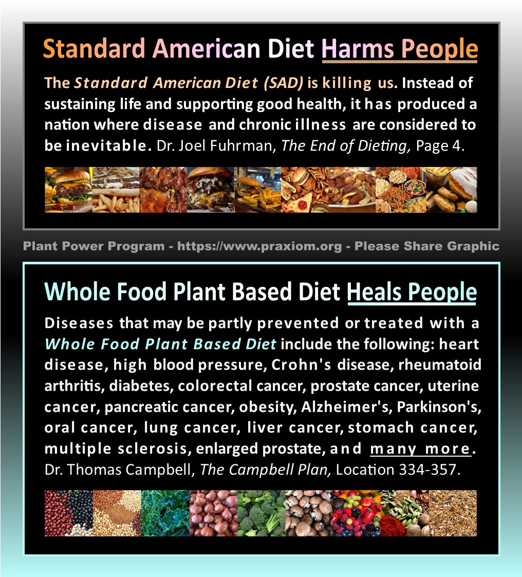 Standard American Diet Harms
        People