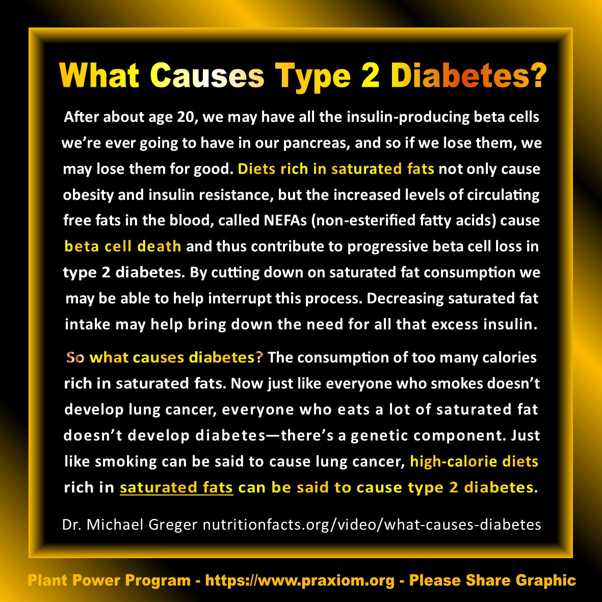 What Causes Type 2 Diabetes - Dr. Michael Greger