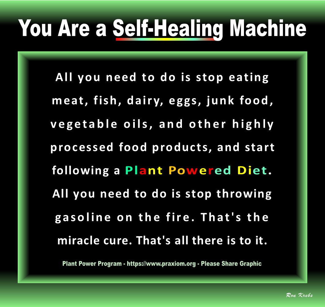 You are
        a self-healing machine - Ron Krebs